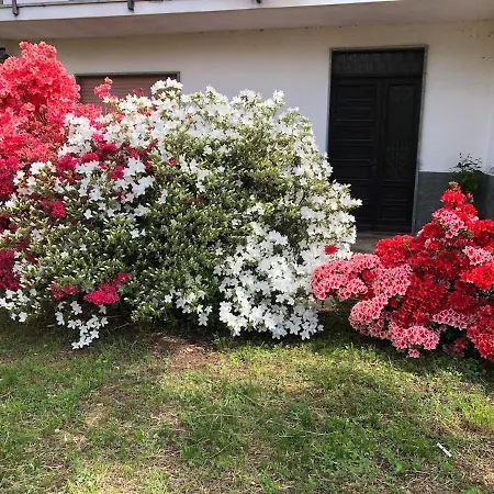Il Nespolo Tatil Evi