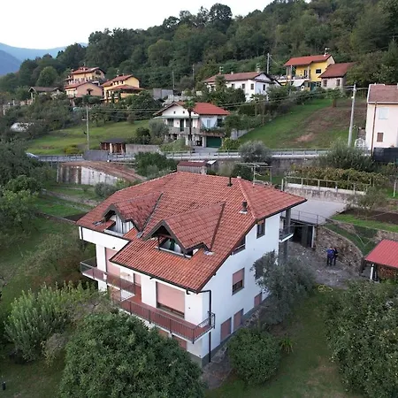 Il Nespolo