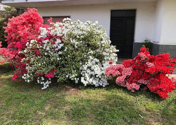 Il Nespolo Σπίτι διακοπών