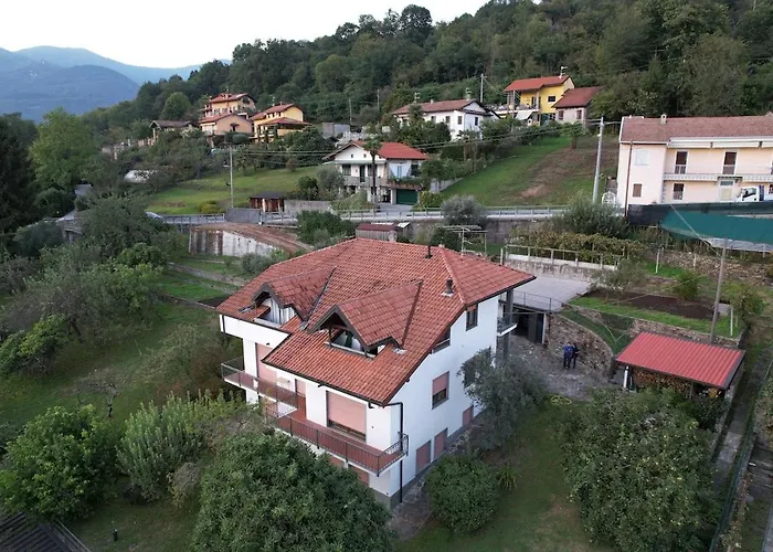 Il Nespolo
